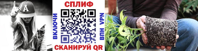 Канабис индика  продажа наркотиков  Пойковский 